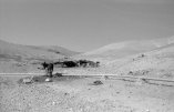obozowisko Beduinów na pustyni