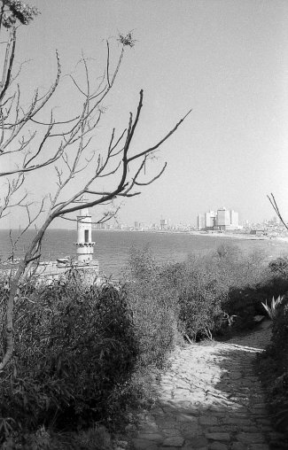 wieżowce Tel Awiwu od strony  wybrzeża  Jaffy