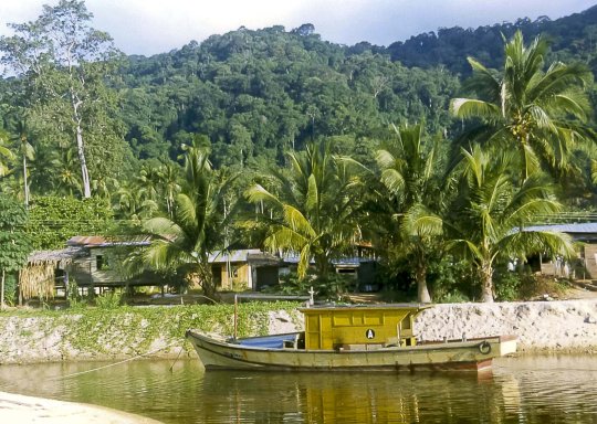 wybrzeże wyspy Tioman