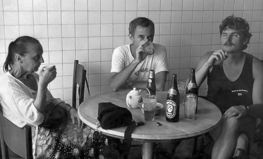 Irena Jarosińska, Adam Sandauer, Wojciech Synoradzki